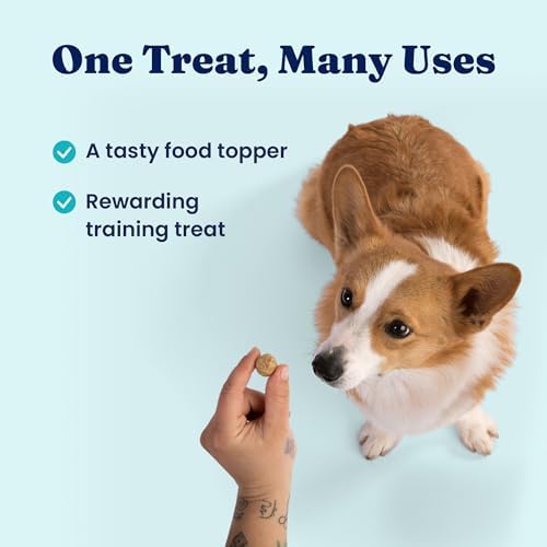 Solid Gold Freeze Dried Dog Food Topper & Treats, Beef, Picky Eaters, 1.5oz