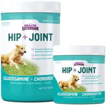 Health Extension Chondroitin with Glucosamine for Dogs, 16oz - Arthritis Pain Relief, Joint & Hip Supplement, Cheese Flavored Powder