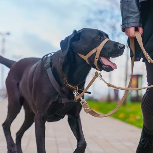 Halti Headcollar | Size 3, Desert Sand | Training Collar for Medium Dogs