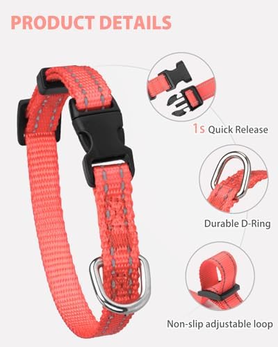 Joytale Feather-Light Puppy Collar for Extra Small Dogs, 3/8", Neon Pink