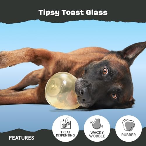 BarkBox Tipsy Toast Glass - for Medium to Large Dogs | Treat Dispensing Dog Toys - Puppy and Pet Toys