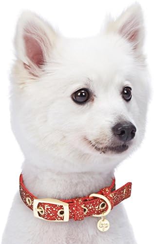 Blueberry Pet Gold Stamping Lace Adjustable Dog Collar in True Red, Neck 9-12.5", for Small Breed