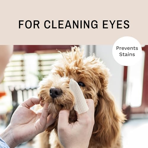 Eye Envy Finger Mitts for Ears & Tears, 40 Count