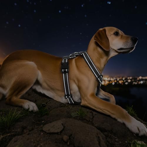 VavoPaw Dog Seat Belt Vest Harness for Car, 2 in 1 Seatbelt Buckle