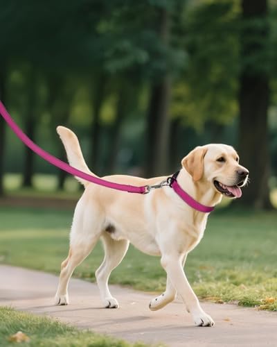 Joytale Feather-Light Dog Collar for Medium & Large Dogs, 1", Hotpink