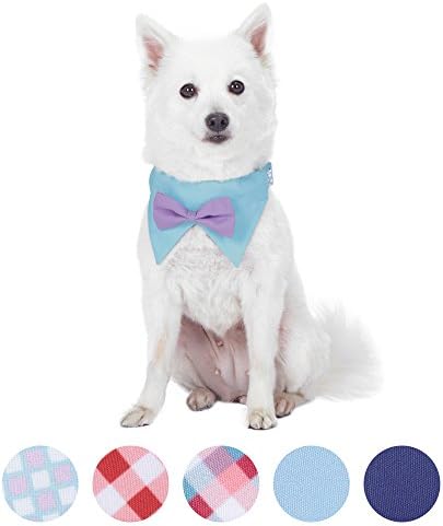 Blueberry Pet Sophisticated Pastel Blue Checker Adjustable Dog Bandana Collar with Bow Tie, Medium, Neck 14.5"-20"