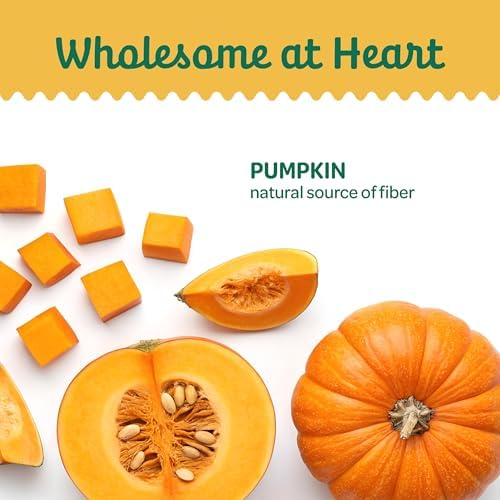 Wholesome Pride Pumpkin Slices Dog Treats – Single Ingredient, Dehydrated, All Natural, 20 oz