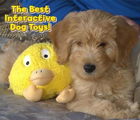 Interactive Dog Toy (Sammy the Snowman), Motion Activated Bouncing Talking Pet Toy, Exercise and Entertainment for Dogs and Puppies