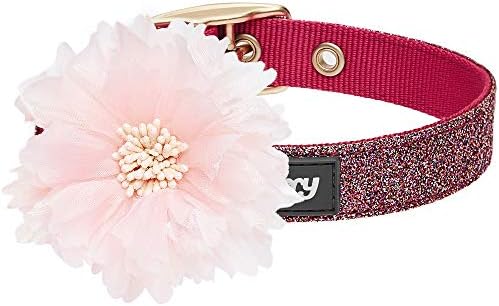 Blueberry Pet The Most Coveted Holo Glitter Dog Collar with Flower