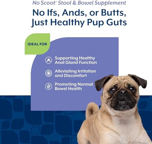NaturVet No Scoot Stool and Bowel Supplement for Dogs - 60 Soft Chews