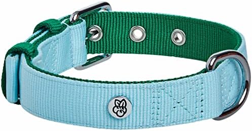 Blueberry Pet Iconic Color-Block Adjustable Dog Collar with Metal Buckle, Sky Blue and Dark Green, Neck 13-16.5", for Medium Breed