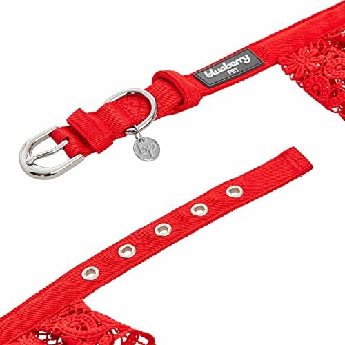 Blueberry Pet Floral Lace Adjustable Dog Collar in True Red with Metal Buckle, Neck 9-12.5", for Small Breed