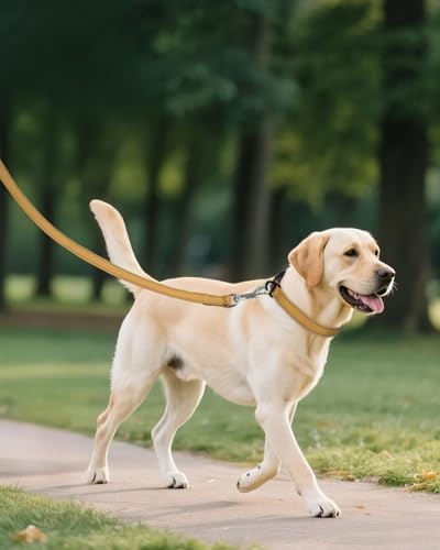 Joytale Feather-Light Dog Collar for Extra Large Dogs, 1 1/4", Khaki
