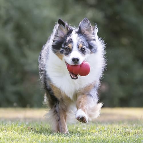 KONG Classic Stuffable Dog Toy, Natural Rubber Chew, for Medium Dogs | Treat-Filling Fetch & Chew Toy with Erratic Bounce, Made from KONG Durable Natural Rubber for Extended Playtime