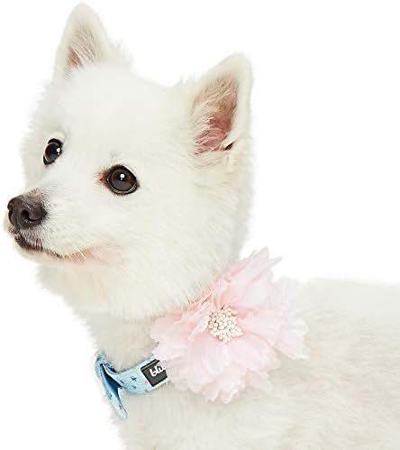 Blueberry Pet The Most Coveted Holo Glitter Dog Collar with Flower