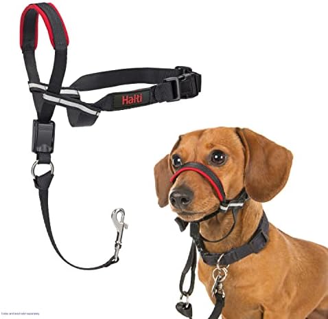 Halti Optifit Headcollar for Dogs | Size S