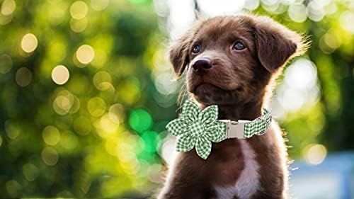 Lionet Paws Dog Collar with Flower, Soft and Comfortable, Adjustable Collar for Medium Dogs Girl, Neck 13.5-22 inches