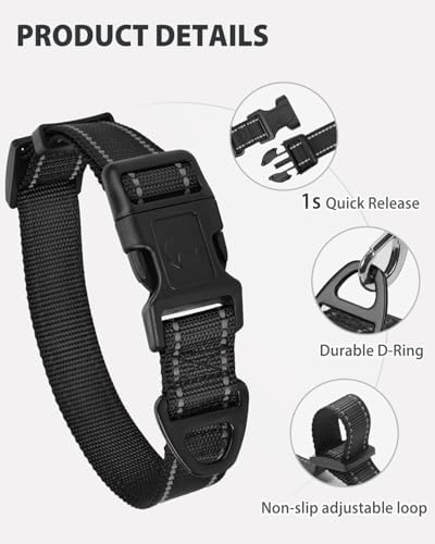 Joytale Feather-Light Dog Collar for Small & Medium Dogs, 3/4", Black