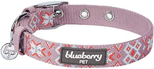Blueberry Pet Southwestern Modern Tribal Print Thistle Braided Adjustable Dog Collar with Metal Buckle, Neck 17-20.5", for Large Breed