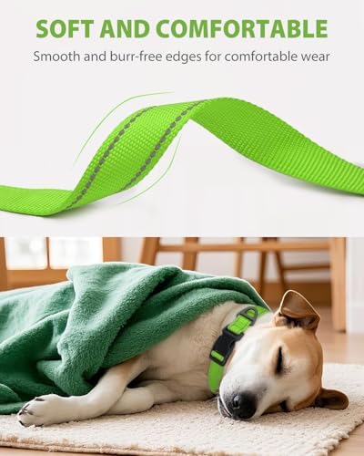Joytale Feather-Light Dog Collar for Extra Large Dogs, 1 1/4", Green
