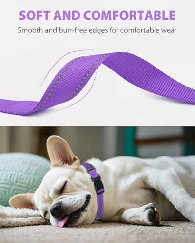 Joytale Dog Collar (10-16") and 6FT x 3/4" Wide Dog Leash Set, Reflective and Adjustable Nylon Collar and Padded Handle Leash for Small Dogs, Purple, S
