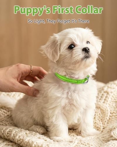 Joytale Feather-Light Puppy Collar for Extra Small Dogs, 3/8", Green