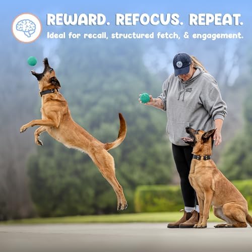 Foam Fetch Ball for Dogs – Durable EVA Foam Dog Ball, Interactive Chew Toy for Dogs, Lightweight Floating Ball for Water, Pool & Outdoor Fetch Games (Green, Large)
