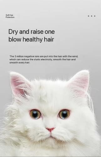 Pet Drying Box Cat Blowing Blowing Water Special Dryer Household Bath Drying Artifact Small Dog