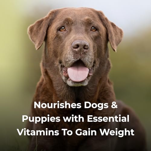 PetAg Dyne High Calorie Liquid Nutritional Supplement for Dogs & Puppies 8 Weeks and Older - 16 oz - Supports Performance and Endurance - Sweet Vanilla Flavor