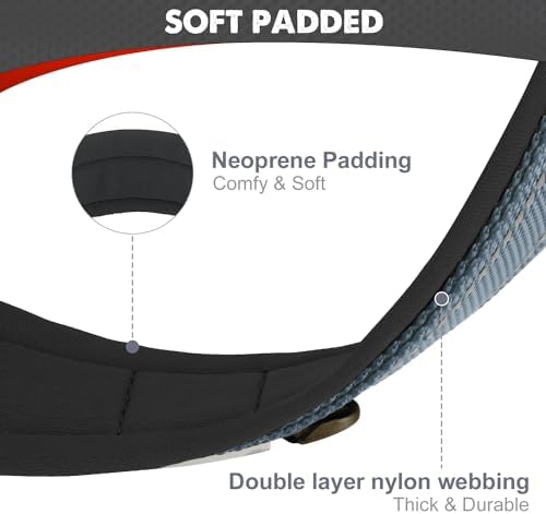 Joytale Reflective Dog Collar for XLarge Dogs with Wide Padding, Gray