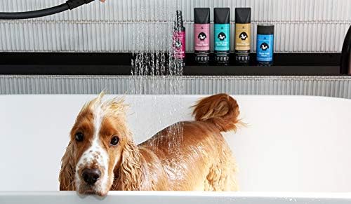 Rufus & Coco Natural Oatmeal Dog Shampoo and Conditioner for Sensitive Skin| Sulfate & Paraben Free | pH Balanced | Hypoallergenic Fresh Fragrance | Safe for all Dogs