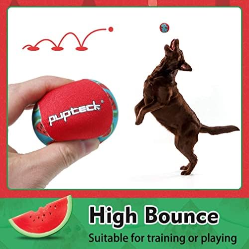 PUPTECK Floating Dog Pool Toys, Bouncing Balls, 2-Pack, Pineapple & Watermelon