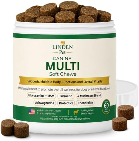 Dog Multivitamin Soft Chews, Probiotics, All Breeds, 60 Ct | Dog Vitamins, Daily Wellness, Salmon Oil & Omega-3, Skin & Coat, Gut Health, L-Carnitine, Turmeric, Senior Dogs, Joint Health