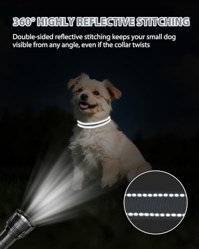 Joytale Feather-Light Dog Collar for Small Dogs & Puppies, 5/8", Gray