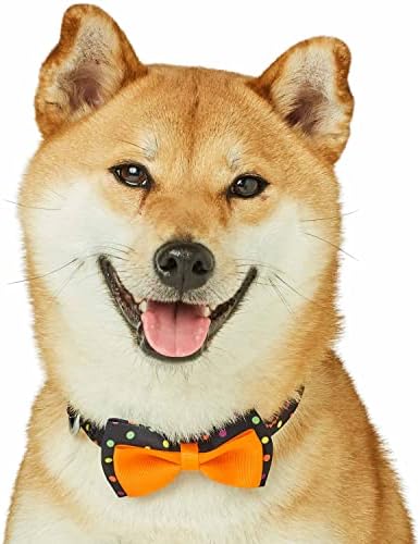 Blueberry Pet Halloween Polka Dot Adjustable Dog Collar with Detachable Bowtie, Small, Neck 12"-16"
