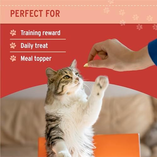 Nutri Bites Freeze Dried Salmon Dog & Cat Treats, Single Ingredient, Single
