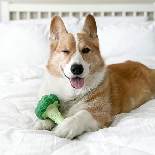 Nylabone Power Chew Broccoli Dog Chew Toy, Bacon & Cheese Flavor, Large | Durable dog toys for aggressive chewers, long lasting, discourages destructive chewing, for dogs up to 50 lbs