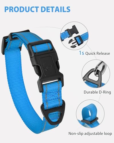 Joytale Feather-Light Dog Collar for Medium & Large Dogs, 1", Sky Blue