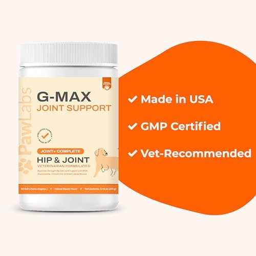 Pawlabs G-Max Joint Support for Dogs - Maximum Strength Hip & Joint Supplement with Glucosamine, Chondroitin, MSM etc - Relieves Arthritis Pain & Hip Dysplasia - Bacon Flavor, 60 Chews