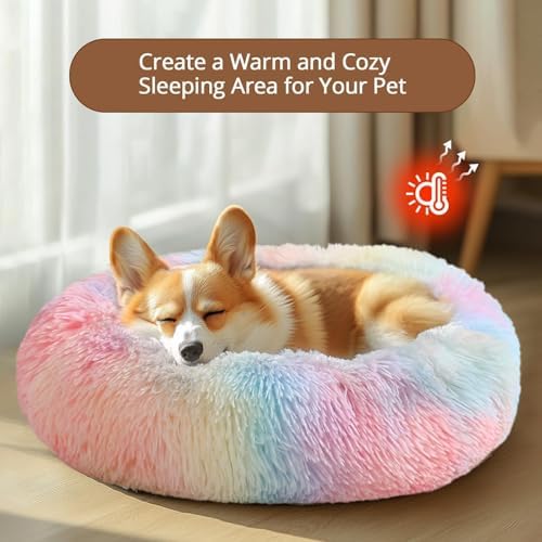 JOLLYVOGUE 20" Calming Donut Dog & Cat Bed, Rainbow
