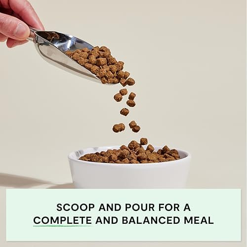 Open Farm, Senior Dog Support Bundle, Includes Grain-Free Dog Food for Seniors with Turkey & Chicken, and Hip & Joint Supplement Chews