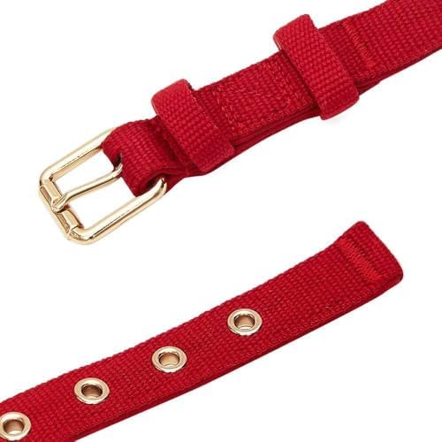 Blueberry Pet New Classic Modern Iconic Neoprene Padded Dog Collar Scarlet Red/Large