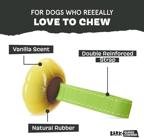 BarkBox BARK Sun Power Tug Rope Toy - for Dogs - Medium | & Puppies