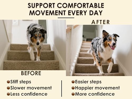 Hip and Joint Soft Chews for Dogs – 270 Count (Pack of 3 x 90) – 8-in-1 Formula with Glucosamine, MSM, Chondroitin – Joint Health Support – Chicken & Bacon Flavor