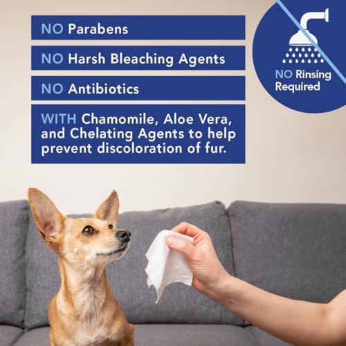 Angels' Eyes Tear Stain Wipes with Aloe Vera & Chamomile, 40 Count