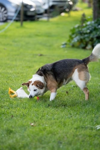 Petface Latex Chicken Dog Toy, Large