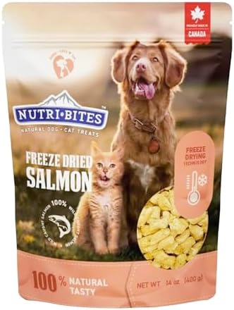 Nutri Bites Freeze Dried Salmon Dog & Cat Treats, Single Ingredient, Single
