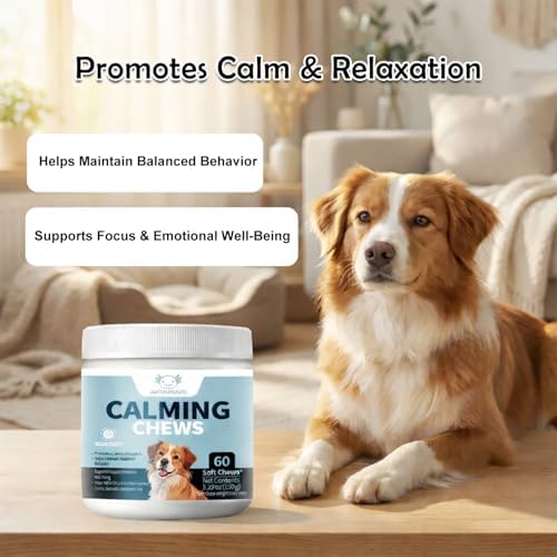 Calming Supplement for Dogs