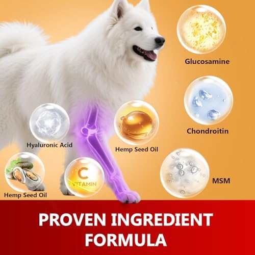 Dog Hip & Joint Chews 120 Count – Glucosamine, Chondroitin, MSM