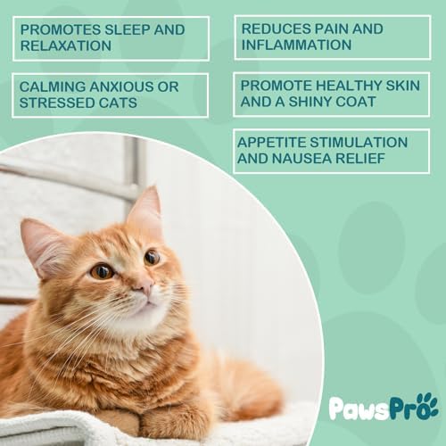4-Pack Hеmp Oil for Dogs and Cats - Hip and Joint Support - Skin and Coat Health - with Omega 3, 6, 9 and Vitamins - Max Potency